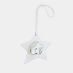 Charm ZIGZAG STAR