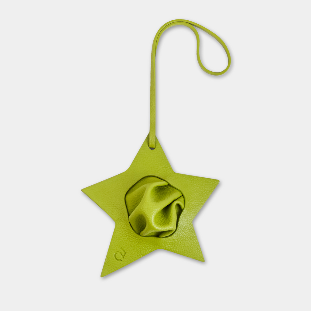 Charm ZIGZAG STAR