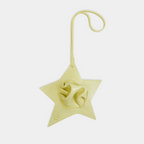 Charm ZIGZAG STAR